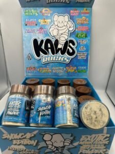 KAWS ROCKS SNOWCAPS LASTEST EDITION