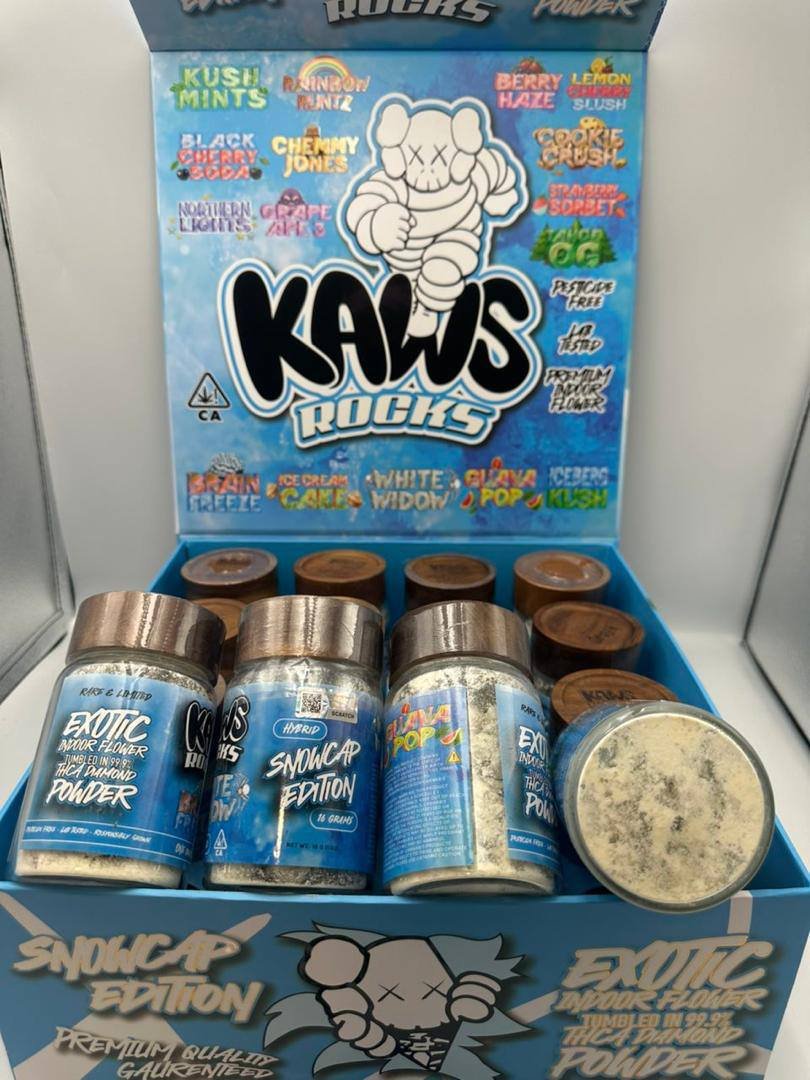 KAWS ROCKS SNOWCAPS LASTEST EDITION