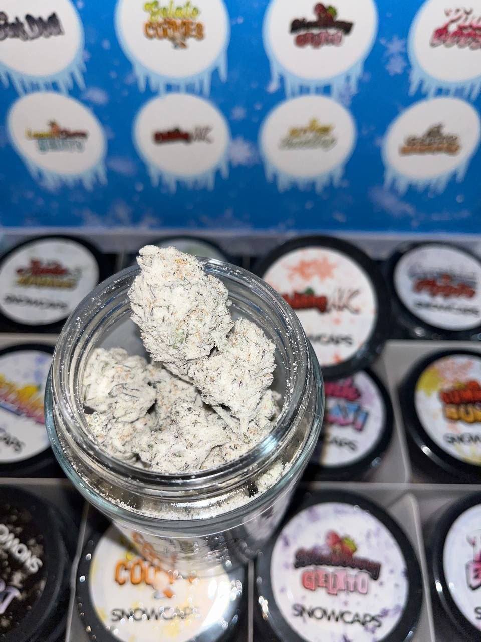 Persy Snowcaps